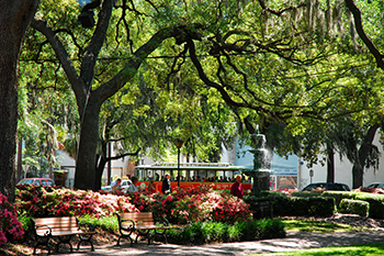 Day 08 Savannah Old Town Trolley Tours